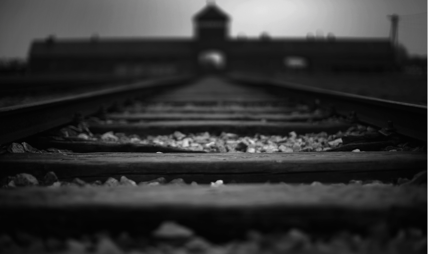 Train track at Birkenau